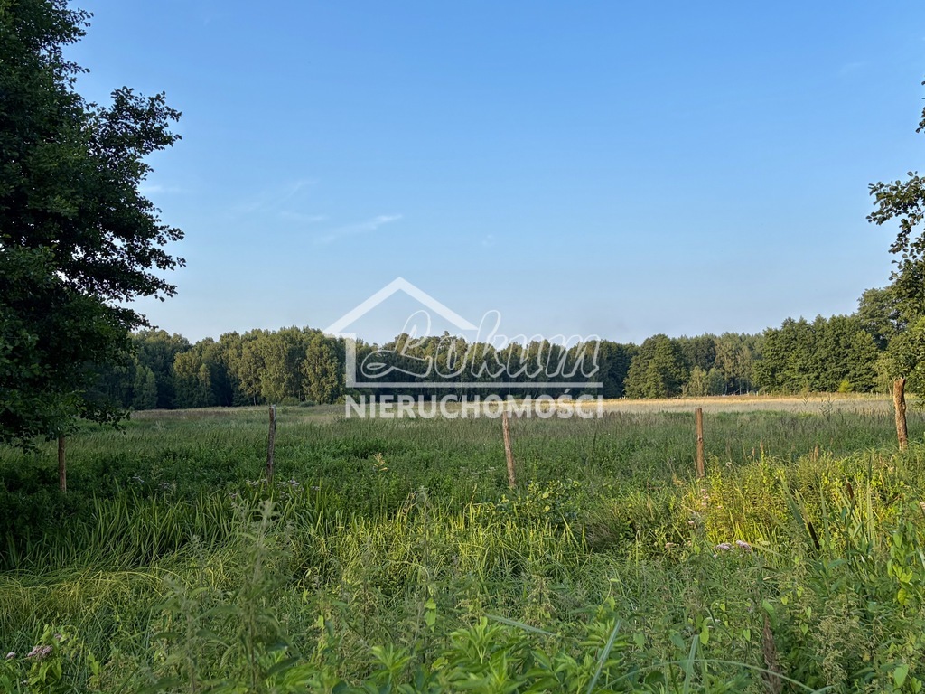 Działka rolna 9846 m², Tanowo - zdjęcie 1