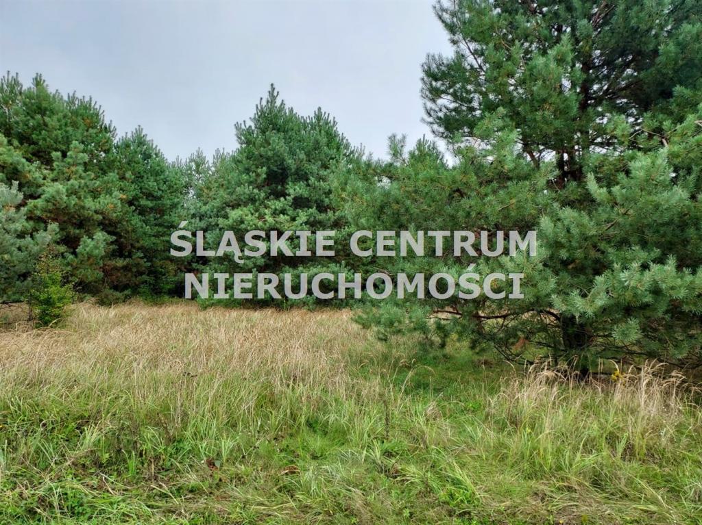 Działka budowlana 1282 m², Rokitno Szlacheckie, Rokicka - zdjęcie 8