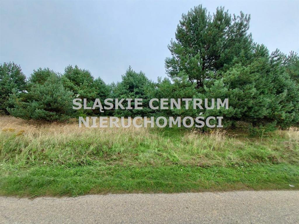 Działka budowlana 1282 m², Rokitno Szlacheckie, Rokicka - zdjęcie 5