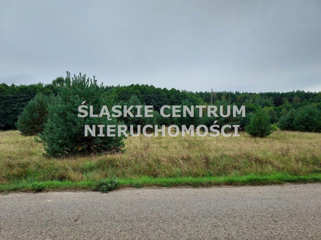 Działka budowlana 1282 m², Rokitno Szlacheckie, Rokicka - zdjęcie 9