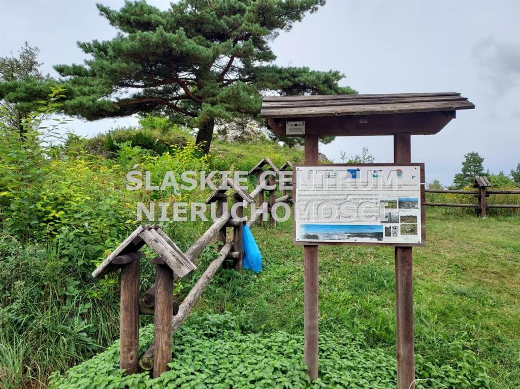 Działka budowlana 1282 m², Rokitno Szlacheckie, Rokicka - zdjęcie 12