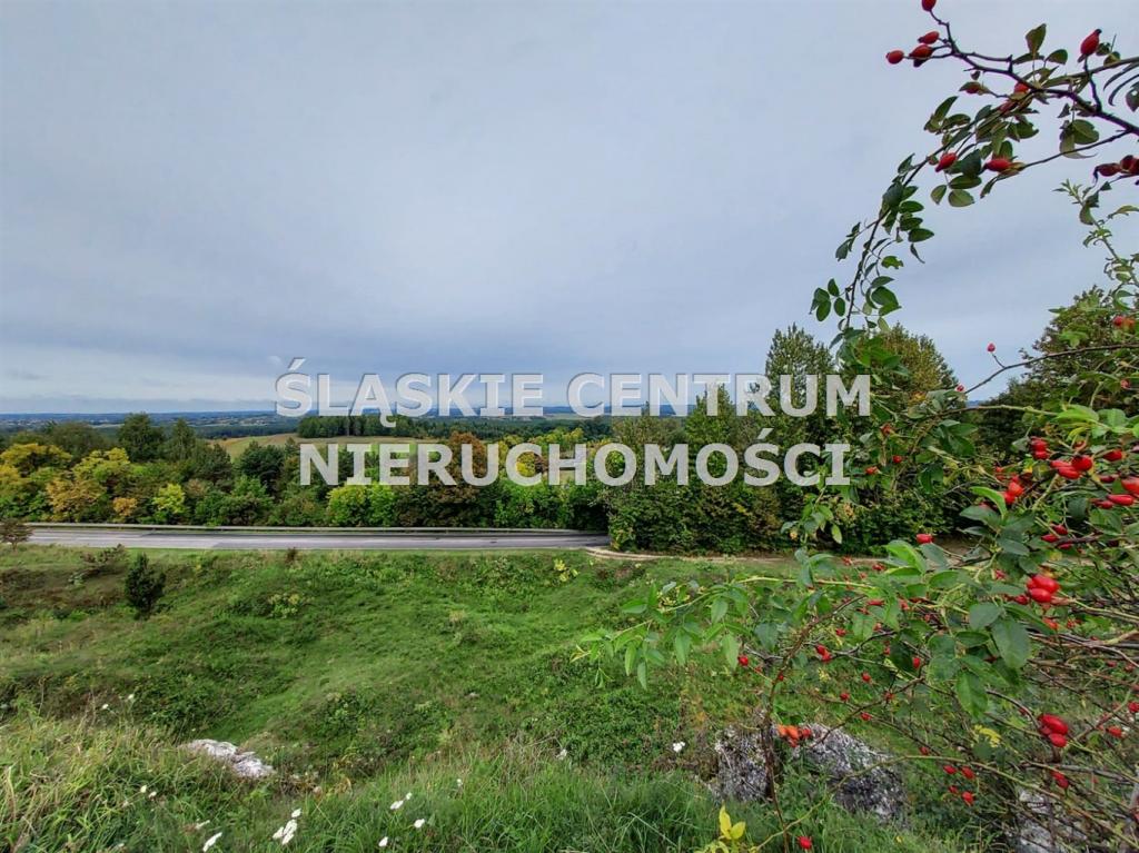 Działka budowlana 1282 m², Rokitno Szlacheckie, Rokicka - zdjęcie 1