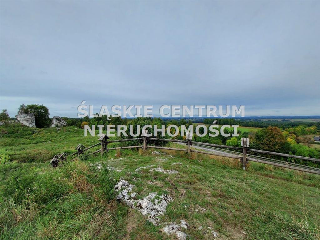 Działka budowlana 1282 m², Rokitno Szlacheckie, Rokicka - zdjęcie 13