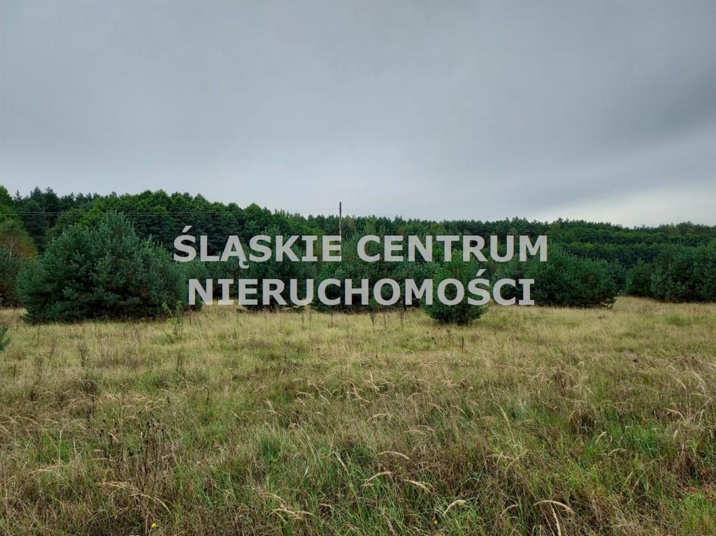 Działka budowlana 1282 m², Rokitno Szlacheckie, Rokicka - zdjęcie 10