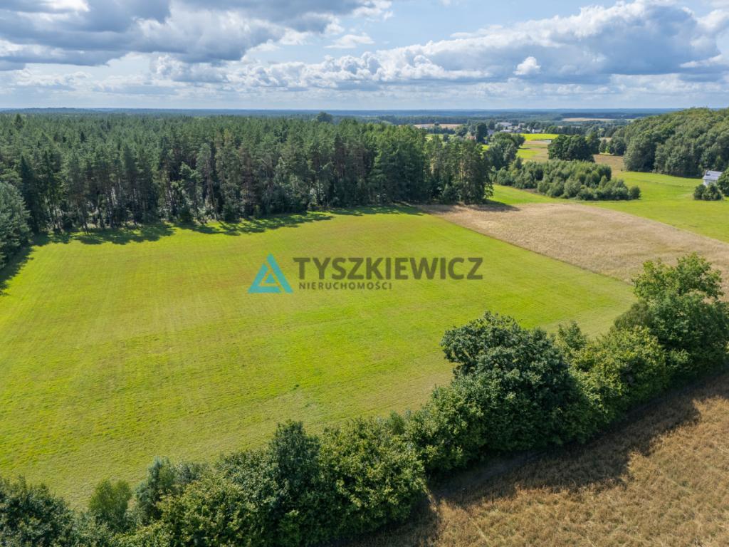 Duża działka z możliwością utworzenia siedliska! - zdjęcie 13