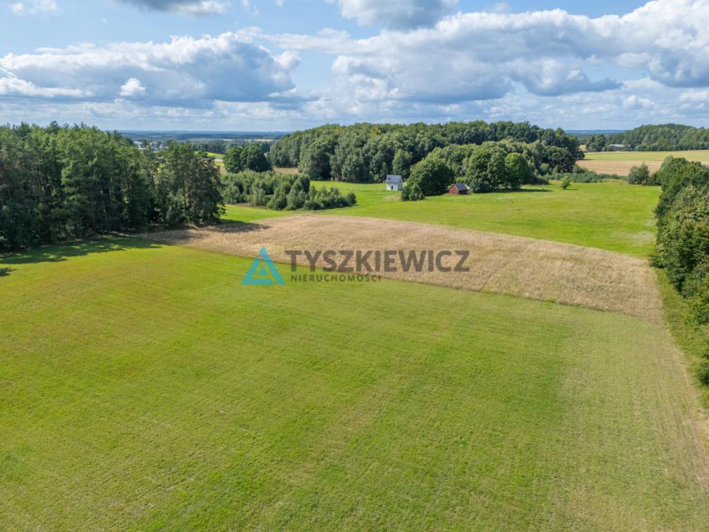 Duża działka z możliwością utworzenia siedliska! - zdjęcie 14