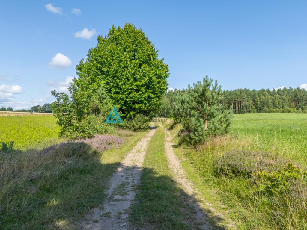 Duża działka z możliwością utworzenia siedliska! - zdjęcie 7