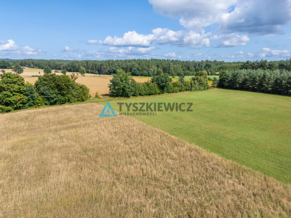 Duża działka z możliwością utworzenia siedliska! - zdjęcie 16