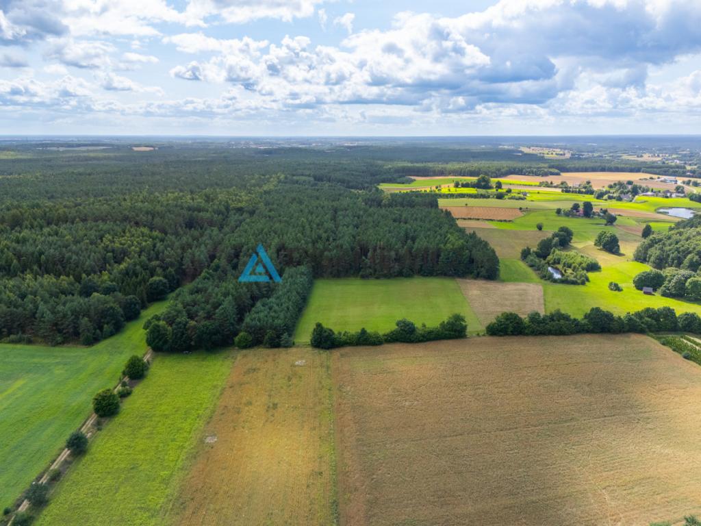 Duża działka z możliwością utworzenia siedliska! - zdjęcie 2