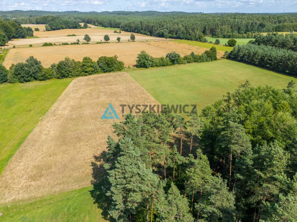 Duża działka z możliwością utworzenia siedliska! - zdjęcie 17