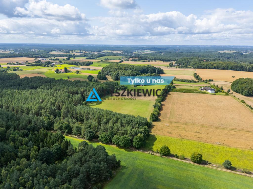Duża działka z możliwością utworzenia siedliska! - zdjęcie 1
