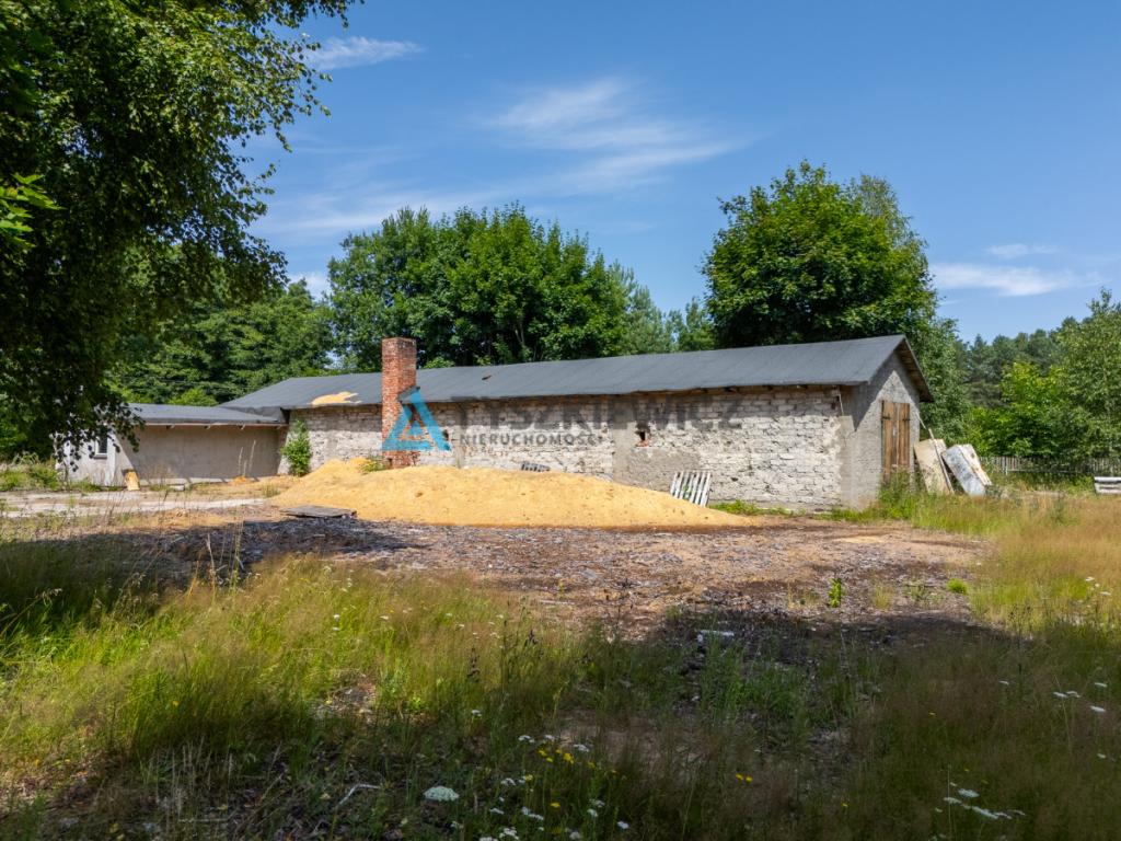 Piękna działka we wsi Dzików przy lesie i rzece - zdjęcie 7