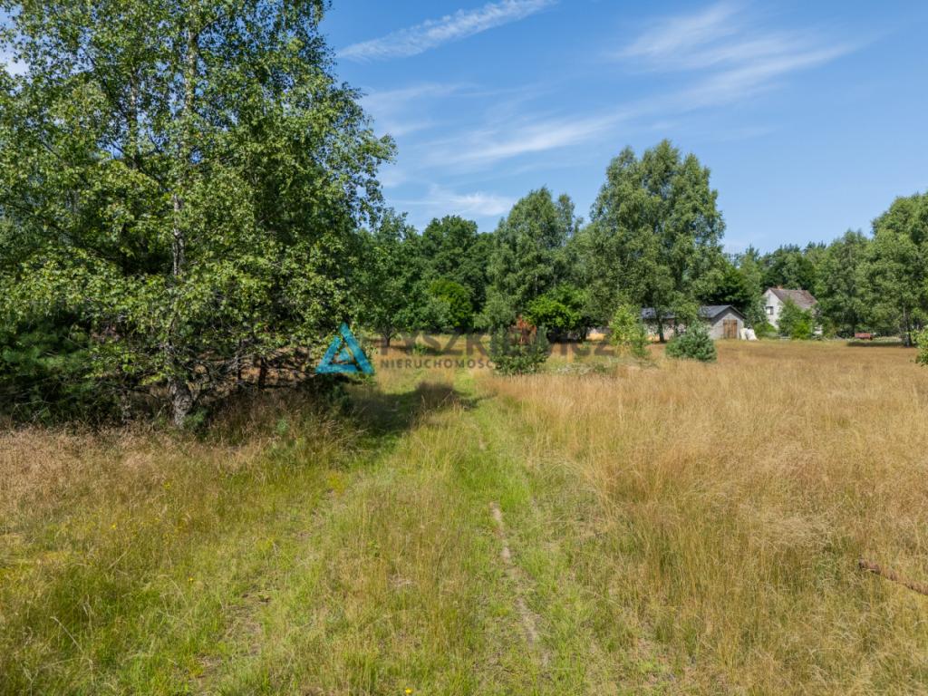 Piękna działka we wsi Dzików przy lesie i rzece - zdjęcie 15