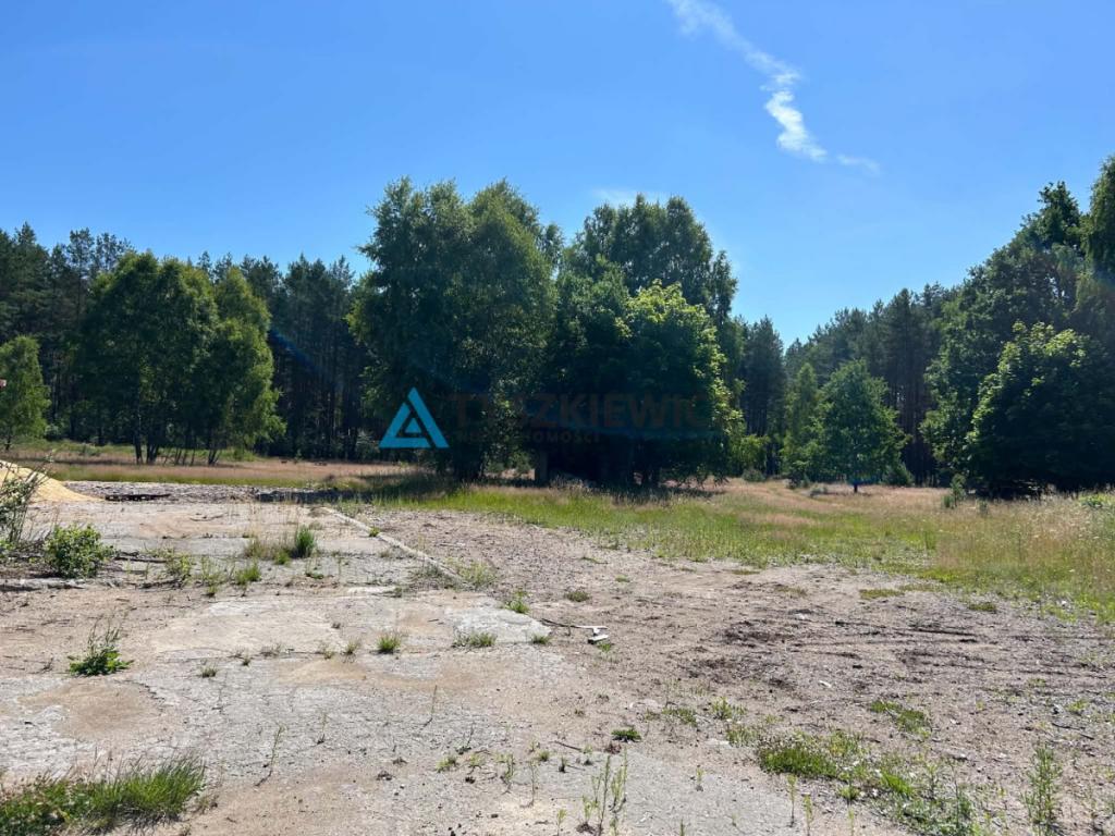 Piękna działka we wsi Dzików przy lesie i rzece - zdjęcie 12