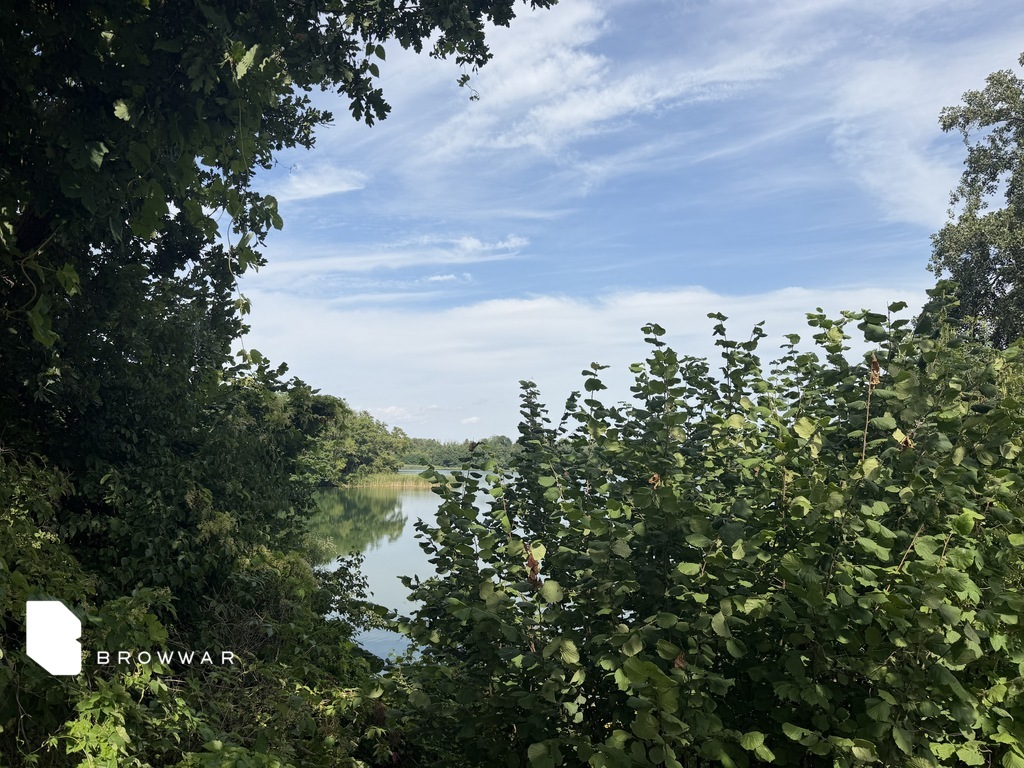 Działka budowlana 6063 m², Chrzypsko Wielkie - zdjęcie 5