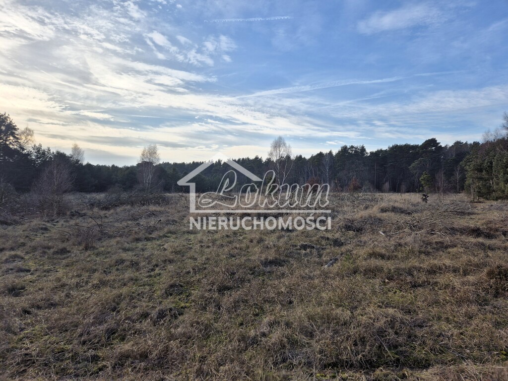 Działka gospodarstwo 2102 m², Świnoujście, Przytór, Zalewowa - zdjęcie 12
