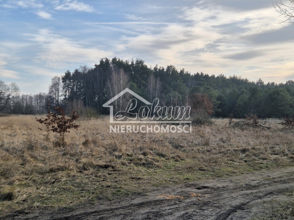 Działka gospodarstwo 2102 m², Świnoujście, Przytór, Zalewowa - zdjęcie 8
