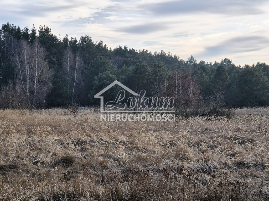 Działka gospodarstwo 2102 m², Świnoujście, Przytór, Zalewowa - zdjęcie 11