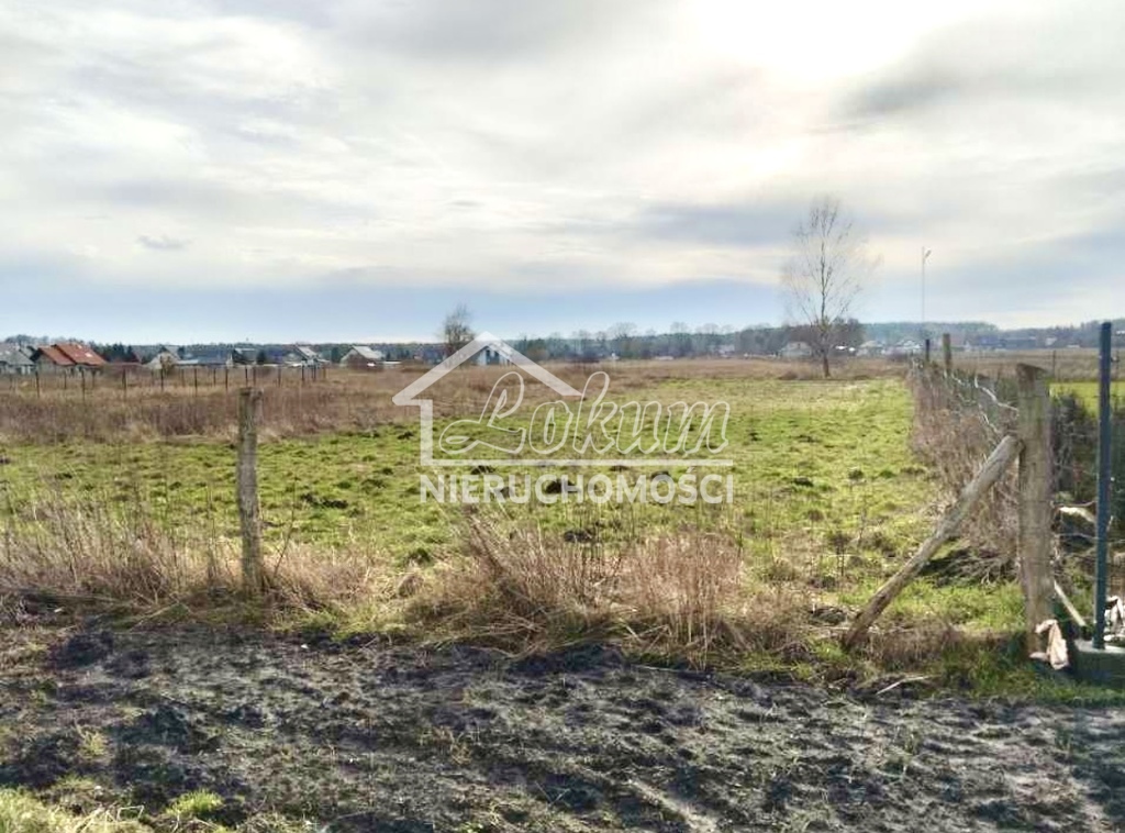 Działka budowlana 1958&nbsp;m², Niedźwiedź - zdjęcie 2