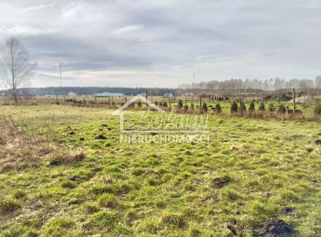 Działka budowlana 1958&nbsp;m², Niedźwiedź - zdjęcie 3
