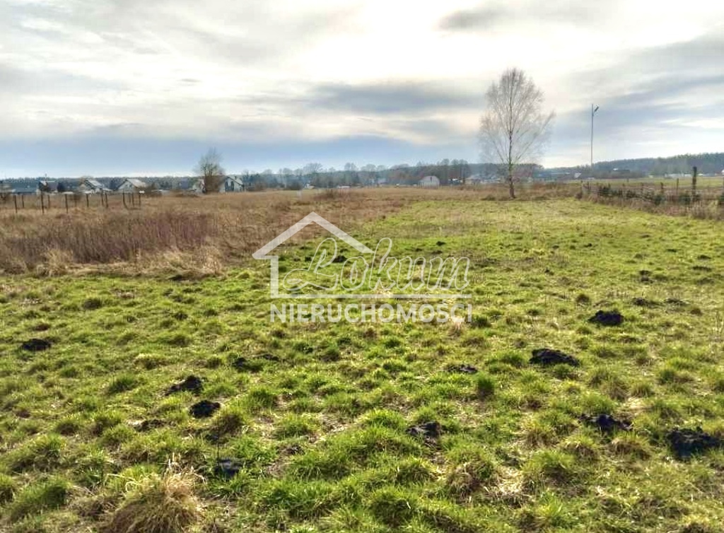 Działka budowlana 1958&nbsp;m², Niedźwiedź - zdjęcie 1