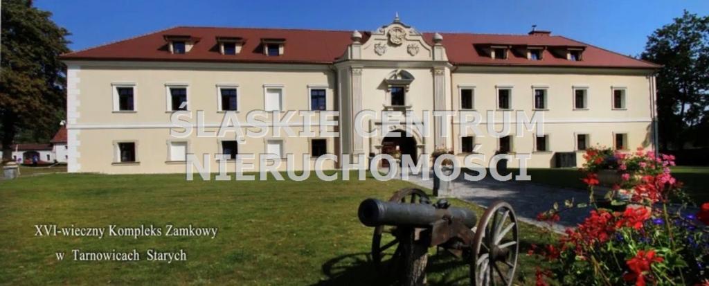 Dwór / zamek / pałac na sprzedaż, 2668 m², Tarnowskie Góry, Stare Tarnowice, Pyskowicka - zdjęcie 14