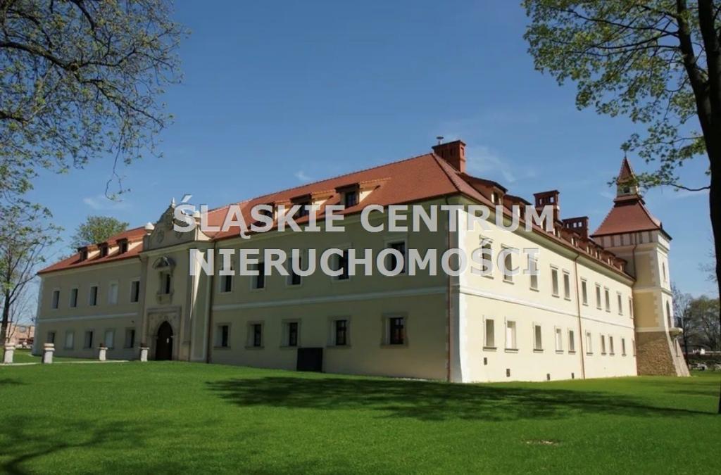 Dwór / zamek / pałac na sprzedaż, 2668 m², Tarnowskie Góry, Stare Tarnowice, Pyskowicka - zdjęcie 12