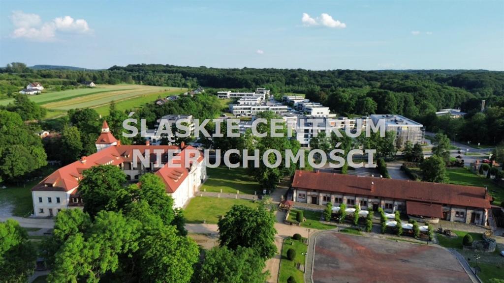 Dwór / zamek / pałac na sprzedaż, 2668 m², Tarnowskie Góry, Stare Tarnowice, Pyskowicka - zdjęcie 7