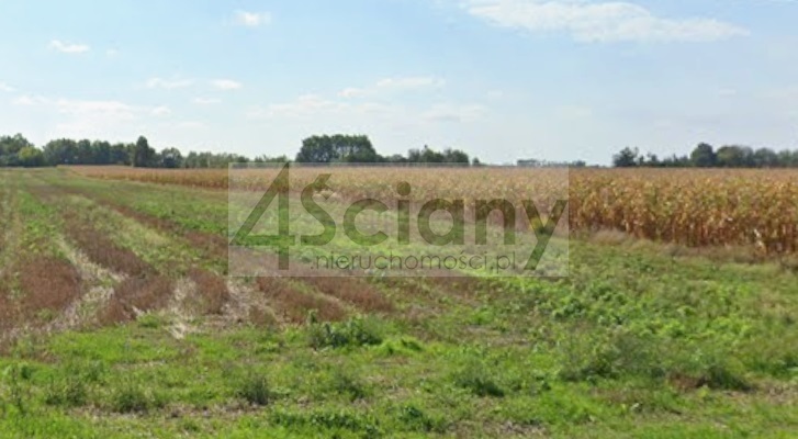 Działka budowlana 1000 m², Nowe Faszczyce - zdjęcie 1