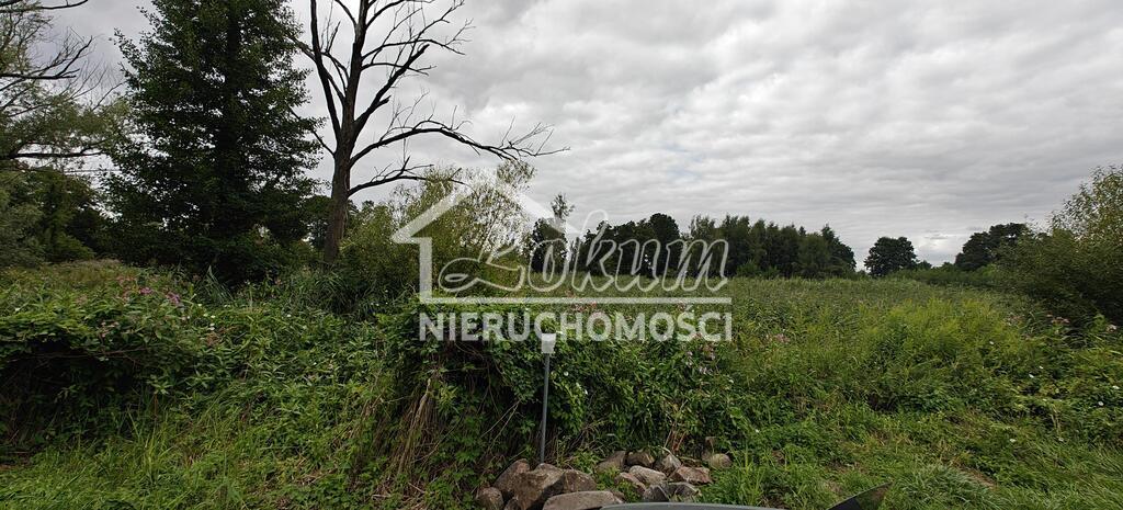 Działka rekreacyjna 3006&nbsp;m², Stepnica - zdjęcie 3