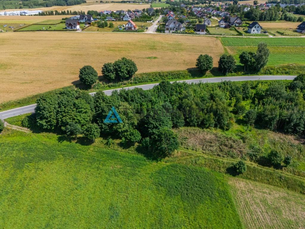 Duża działka budowlana w Parchowie - zdjęcie 2