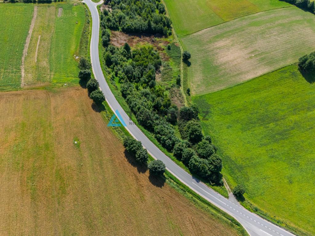 Duża działka budowlana w Parchowie - zdjęcie 7