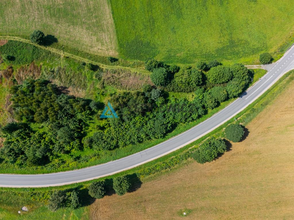Teren z możliwością zabudowy w Parchowie - zdjęcie 3