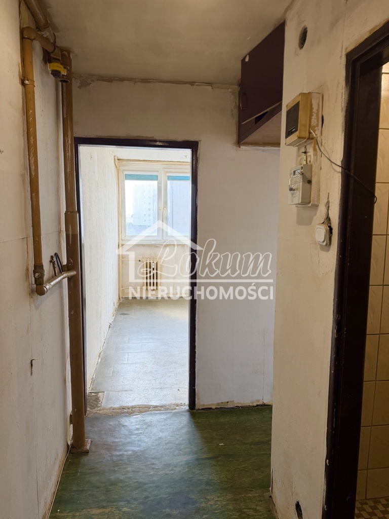 Mieszkanie 37 m², Szczecin, Śródmieście, Potulicka - zdjęcie 5