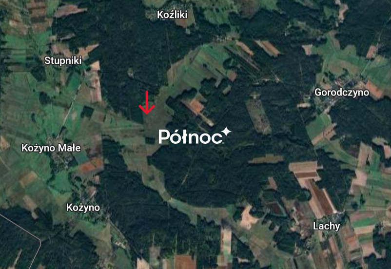 Działka rolna 1,00&nbsp;ha, Koźliki - zdjęcie 5