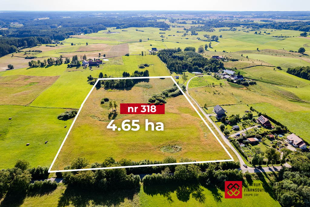 Działka budowlana 4,65 ha, Wipsowo - zdjęcie 4