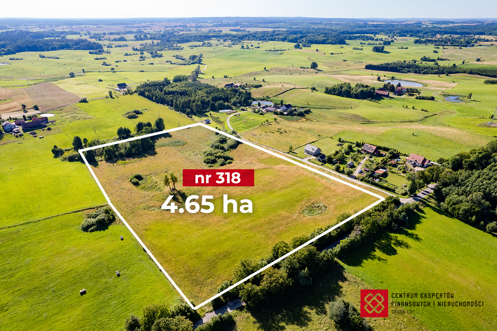 Działka budowlana 4,65 ha, Wipsowo - zdjęcie 3