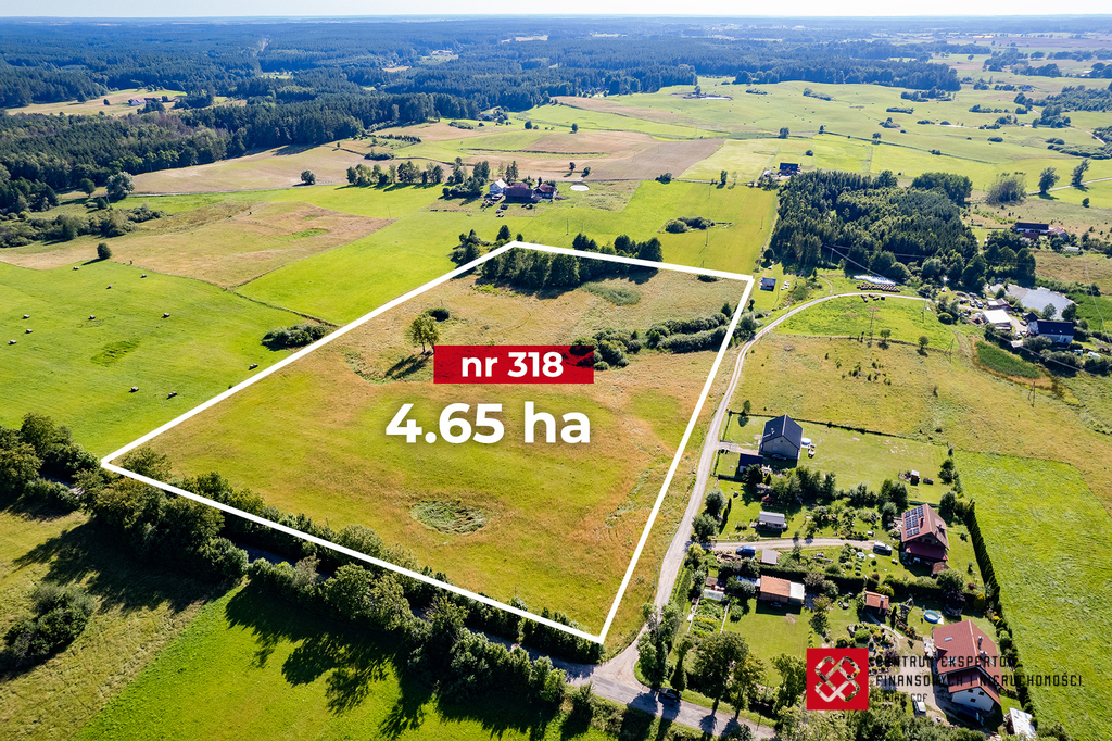 Działka budowlana 4,65 ha, Wipsowo - zdjęcie 5