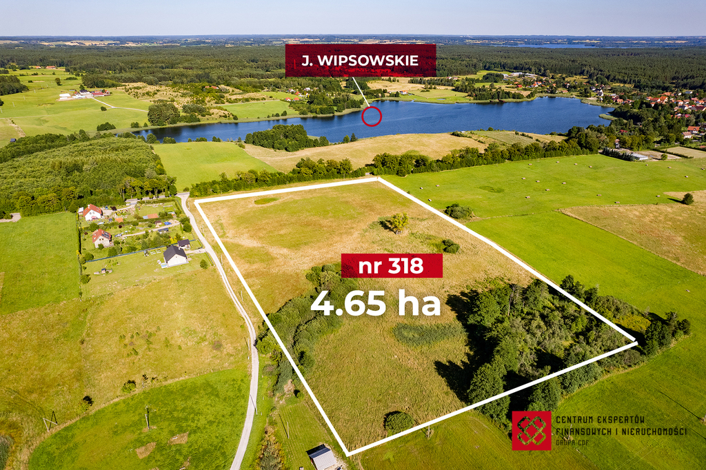 Działka budowlana 4,65 ha, Wipsowo - zdjęcie 2