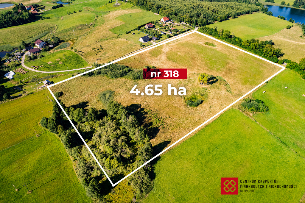 Działka budowlana 4,65 ha, Wipsowo - zdjęcie 6