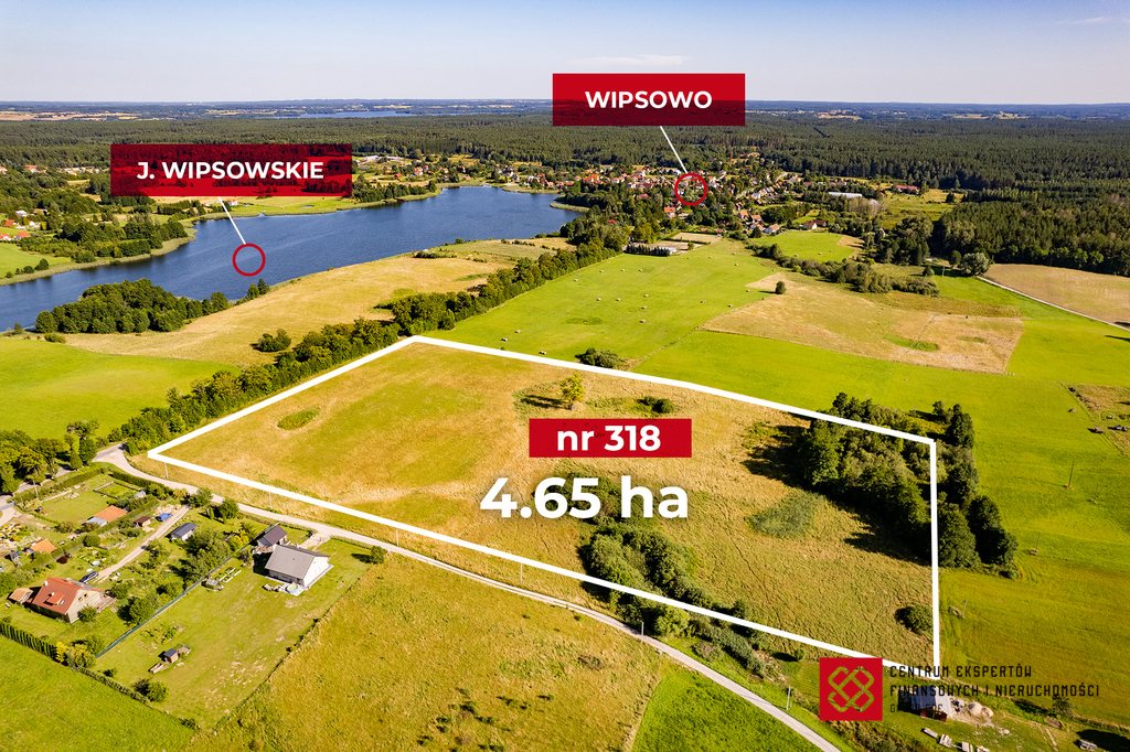 Działka budowlana 4,65 ha, Wipsowo - zdjęcie 1