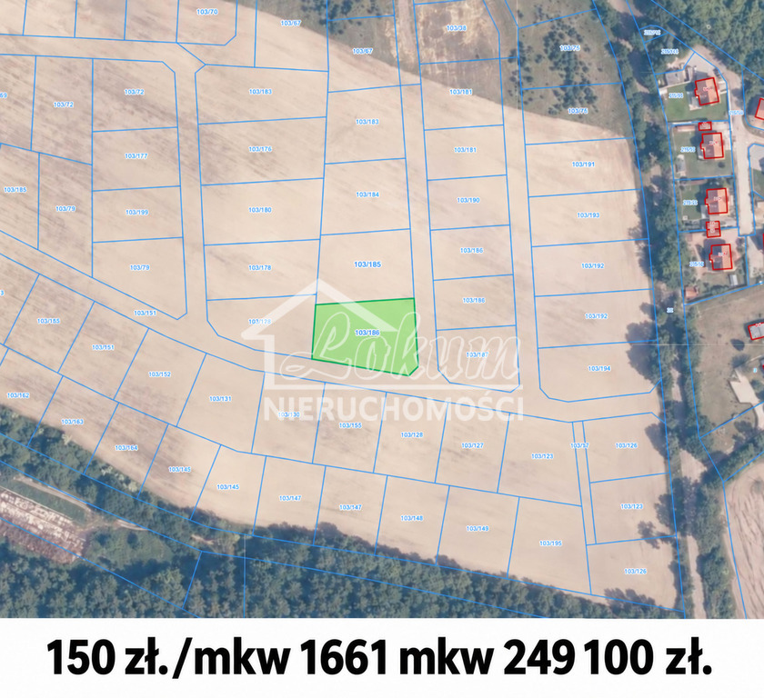 Działka budowlana 1661 m², Buk - zdjęcie 2