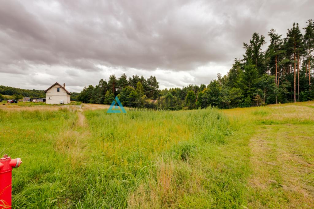 Atrakcyjna działka budowlana w Przetoczynie 1318m² - zdjęcie 11