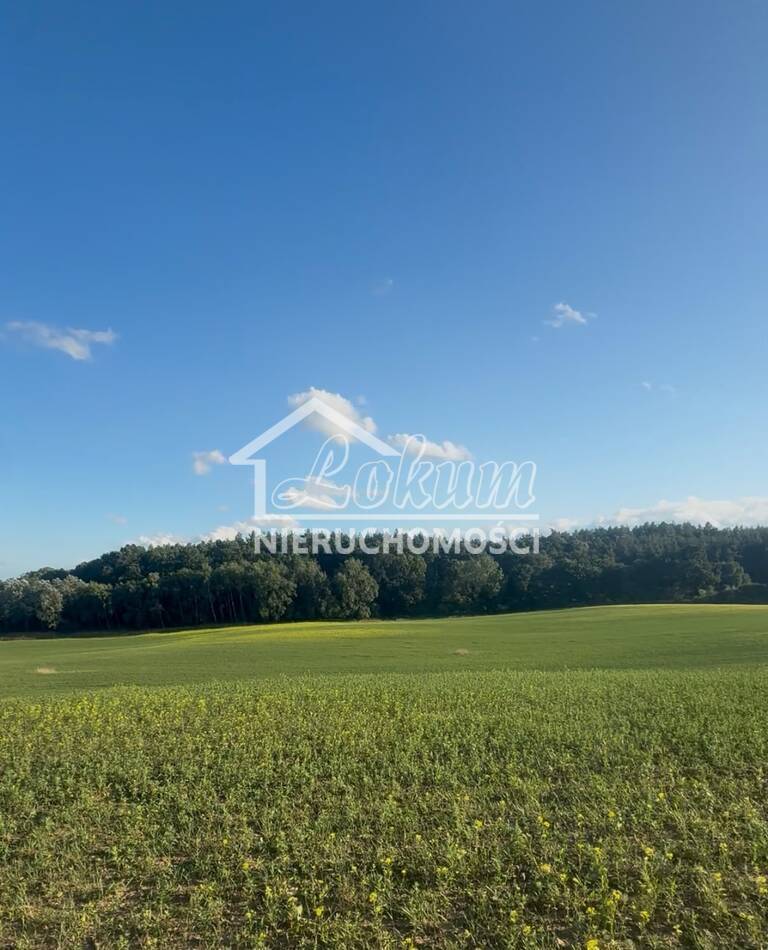 Działka budowlana 1435 m², Buk - zdjęcie 1