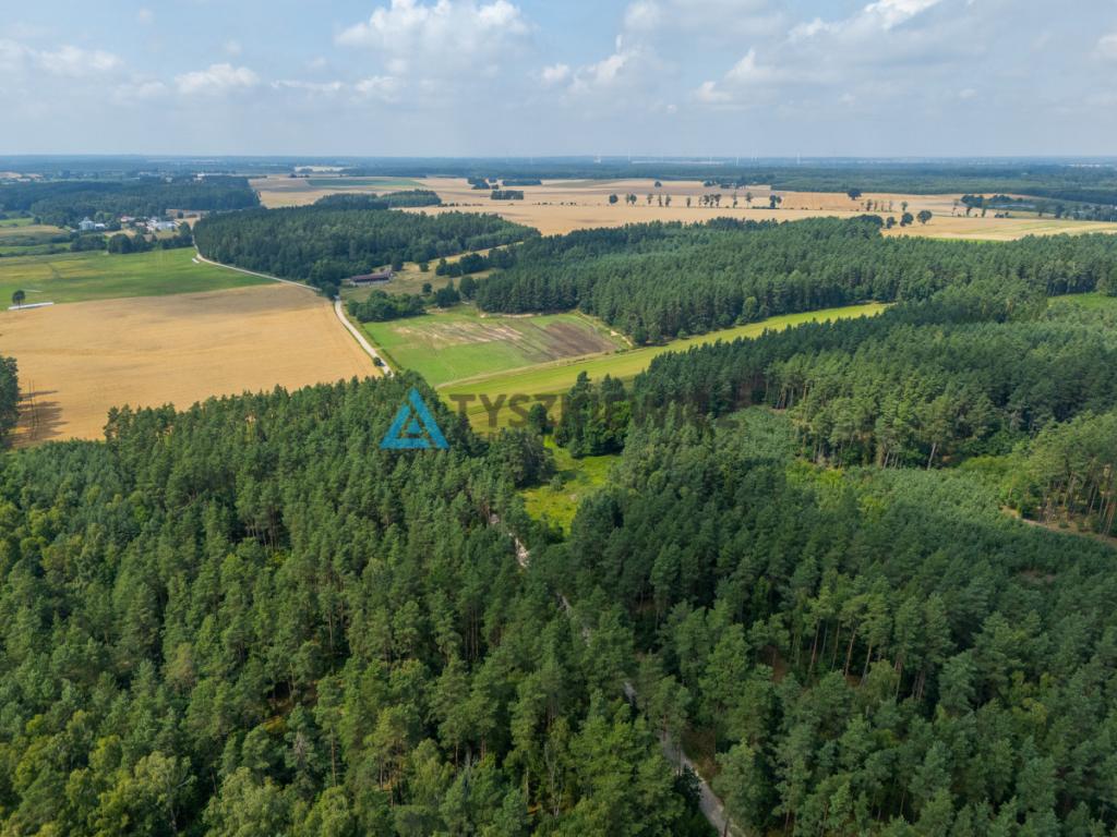 Duża działka w Dobrej -  teren w otoczeniu natury - zdjęcie 5