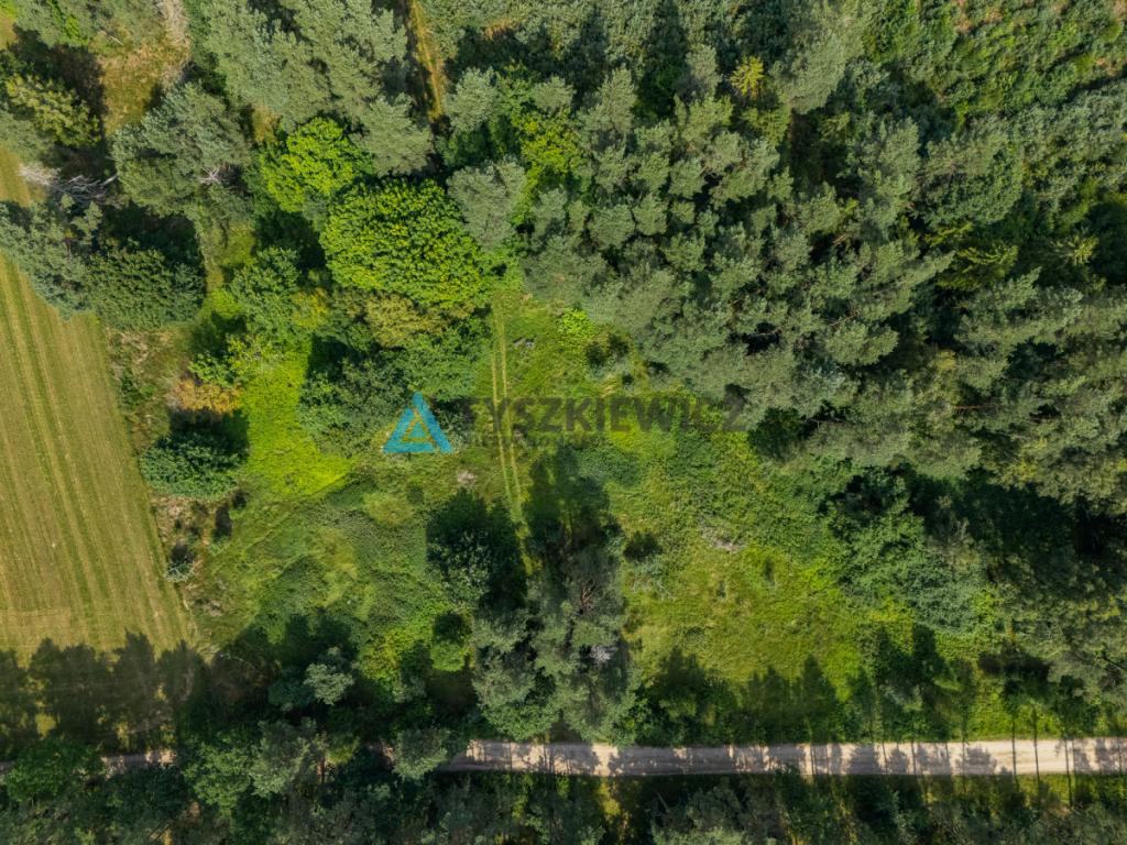 Duża działka w Dobrej -  teren w otoczeniu natury - zdjęcie 9