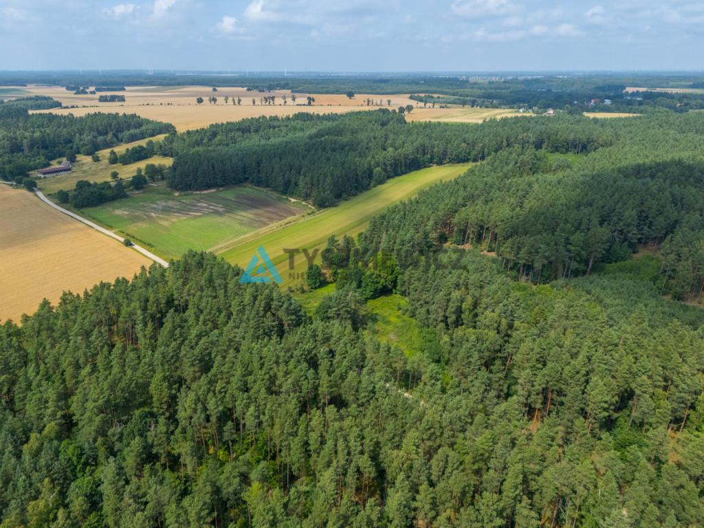 Duża działka w Dobrej -  teren w otoczeniu natury - zdjęcie 7