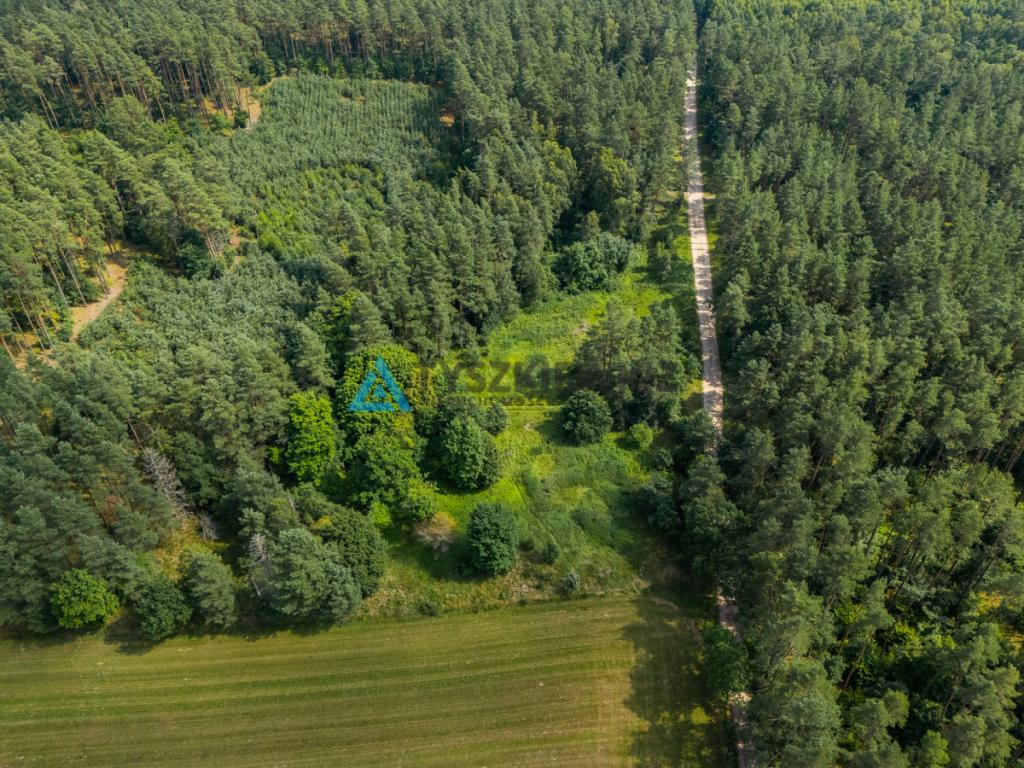 Duża działka w Dobrej -  teren w otoczeniu natury - zdjęcie 10