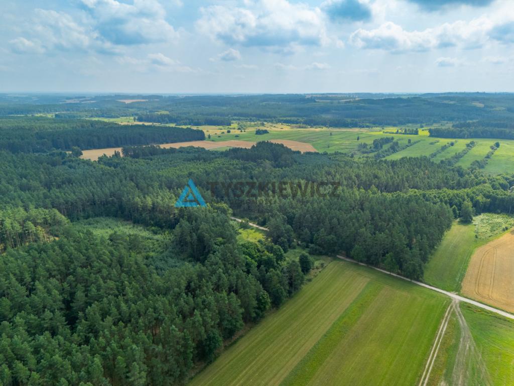 Duża działka w Dobrej -  teren w otoczeniu natury - zdjęcie 8