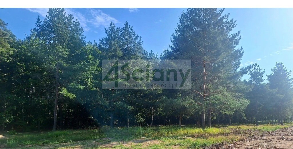 Działka budowlana 1200 m², Adamowizna - zdjęcie 3